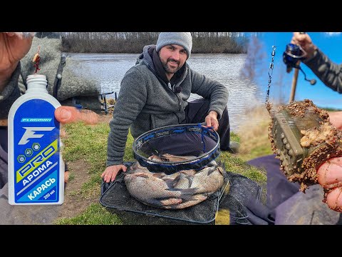 Открыл сезон - НАБИЛ САДОК леща. Сдаю 2 СЕКРЕТА на ВЕСЕННЕГО леща! Фидерная рыбалка на реке