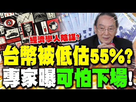 [Full Subtitles] Is the New Taiwan Dollar Undervalued by 55%? Professor Ma Kai Exposes Economist'...