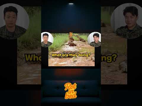 Absolutely insane...