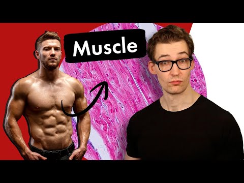 Eating to Gain Muscle, Minimize Fat Gain, and Reduce Oxidative Damage