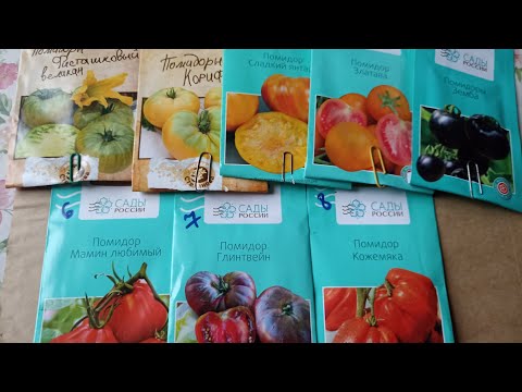 Сажаю лук батун. Мои томаты : итоги и мысли о будущем сезоне. 