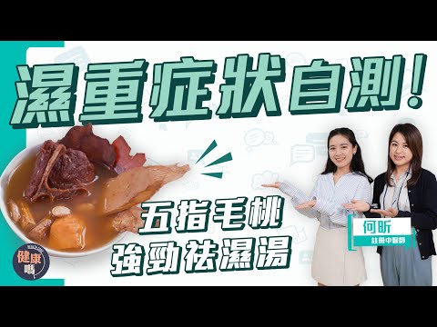 春天濕重疲倦體臭找上門！30秒自測濕重症狀｜五指毛桃土茯苓祛濕湯 每週飲兩次快速見效｜中醫師教路 做足5件事濕疹不復發｜健康嗎 @HealthCodeHK 【Chat醫D】