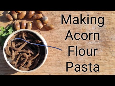 Making Acorn Flour Pasta