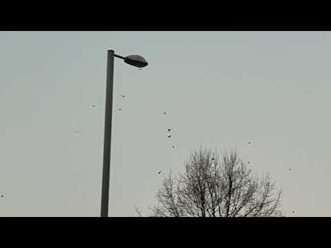 Выставил все фотки даже без обработки.. Калининград декабрь