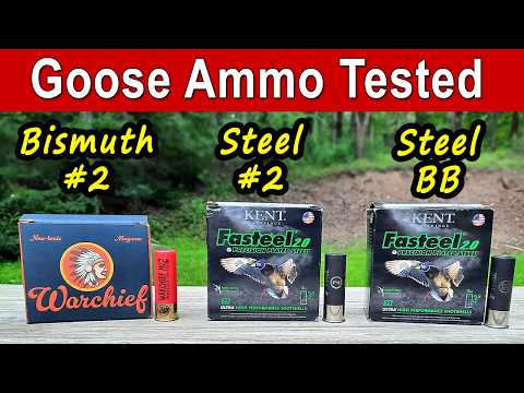 Goose Ammo Tested | Bismuth #2 vs. Steel #2 vs. Steel BB