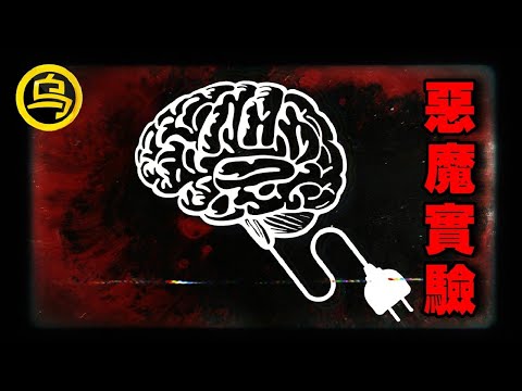史上最具争议的实验，为培育超级人种，希特勒可以疯狂到什么地步？心理学实验合集  [脑洞乌托邦 | 小乌副频道 | 小乌 TV ]