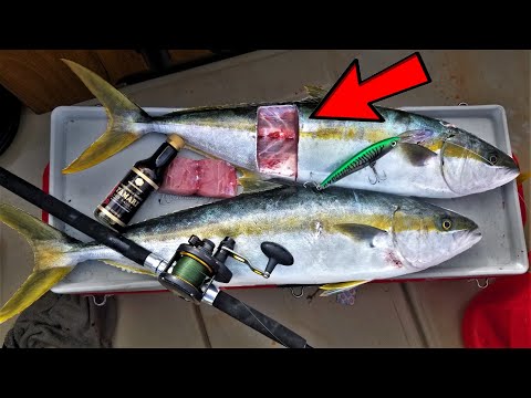 Beautiful Catch and Sashimi ON THE BOAT! *Raw Fish*  EPIC Yellowtail Action!!!!