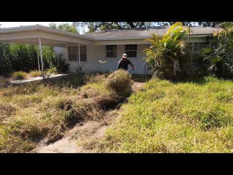 THE YARD IS SO BAD that the NEIGHBOR said SHE WANTS TO SELL HER HOUSE TO GET AWAY - FULL OF RATS