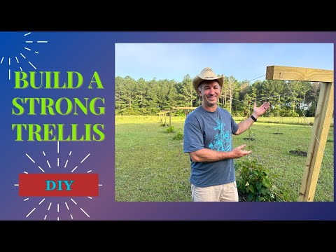 2 in 1 Trellis System | Grow Grapes and Kiwi on the same Trellis