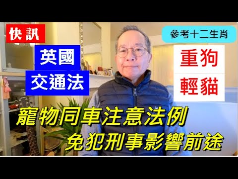 【快訊】英國交通法 重狗輕貓 | 寵物同車注意法例 免犯刑事影響前途 /英國南威爾斯 / South Wales / UK