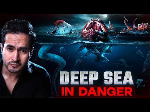Is Deep Sea in Danger? | Full Documentary