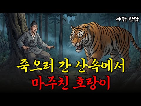 죽으러 간 산속에서 마주친 호랑이 야담|만담|전설|옛날이야기|사연