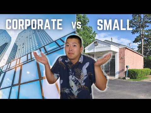 Small Company vs Large Company: Which One Is Best?