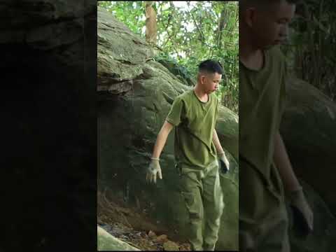 I Build Caves For Bushcraft Survival #shots #survival #bushcraftsurvival #cooking