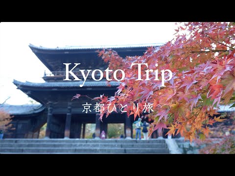 Enjoy the autumn leaves in Kyoto, 3 days/2 nights ｜Beautiful Autumn in Kyoto