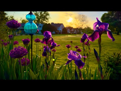 A private view before anyone wakes up