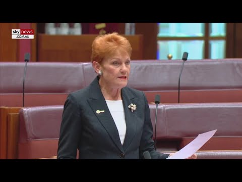 ‘I’m gobsmacked’: Pauline Hanson and Penny Wong face off over net zero targets