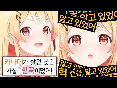 와 정말요 [홀로라이브 | 오토노세 카나데]