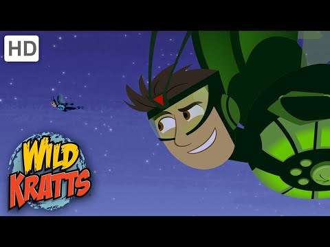 Wild Kratts | Fireflies | Full Episode | Season 1