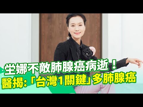美籍老公首發聲：坣娜肺腺癌病逝！不是抽菸、炒菜油煙！醫嘆：「台灣1關鍵」害肺腺癌風險增！長期吸入「1清潔劑」心肺受損=日抽20跟菸！醫大推：「1植物」有效降低居家空汙｜祝你健康
