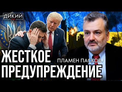 НАПРОЛОМ, ИЛИ «НАШ СЛОНЯРА». ПЛАМЕН ПАСКОВ | ДИКИЙ LIVE
