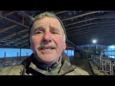 Milk processing as a business