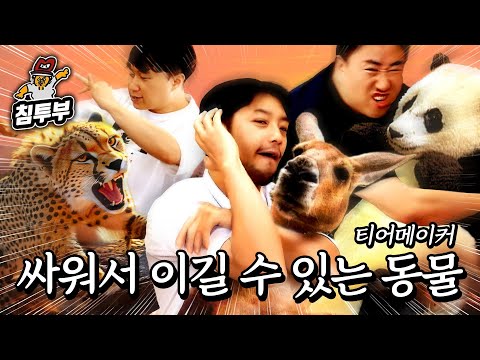 아저씨들이 정하는 싸워서 이길 수 있는 동물 티어메이커