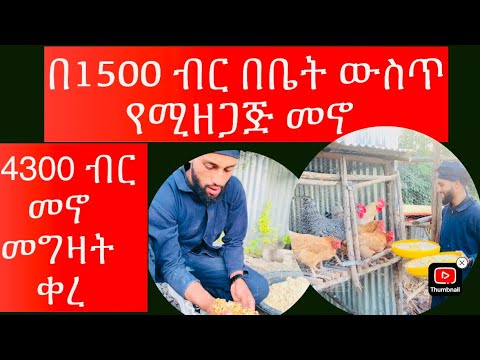 1500 ብር ብቻ በቤት ውስጥ የሚዘጋጅ መኖ