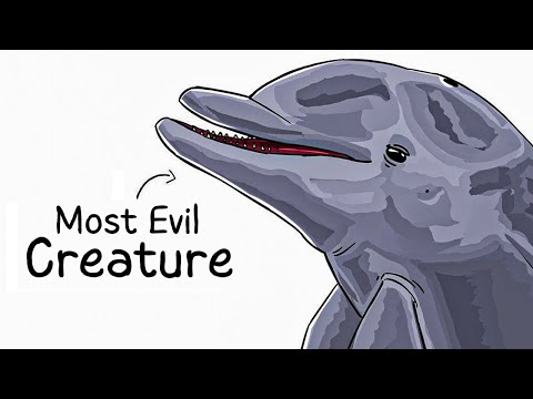 Why it Sucks To Be Born As a Dolphin