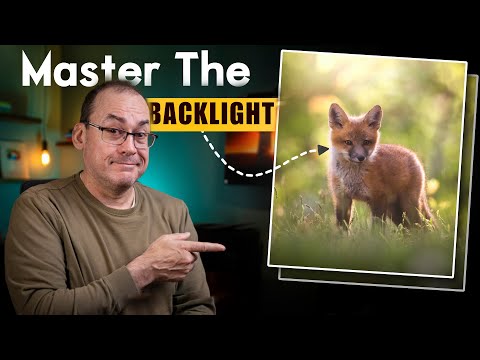 BACKLIGHTING pro tips for amazing photos!