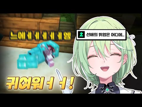 [스텔라이브 클립] 치장템 부럽다고 땡깡 부리는 선배 어떤데