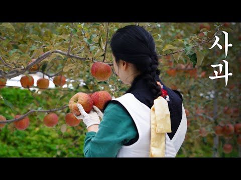 Making red pepper paste 🌶️ with apples | 🍎 Make apple kkakdugi ( Radish kimchi )
