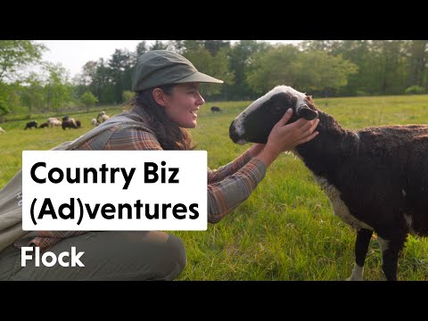 COUNTRY BUSINESS: B&B, Book & Coffee Shop, Herbs & Wool — Ep. 195