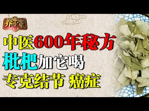 沈氏女科传承20代，枇杷加它泡水喝，清空40年肺毒，还能消结节、抗癌【养生堂】