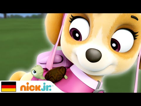 PAW Patrol | Lerne mit den PAW Patrol - Teil 4 | Nick Jr.