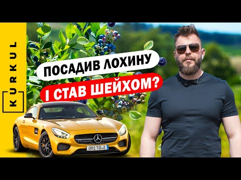 Скільки можна заробити на лохині. Органічна лохина у СВК "Ягідки" / Куркуль