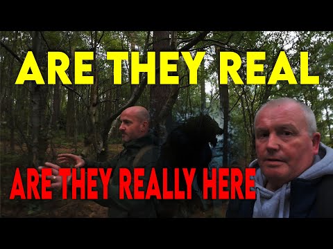 “Something Is Out There”