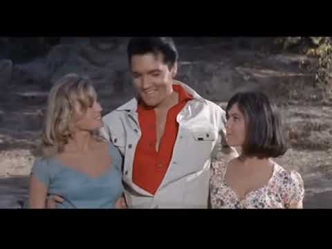 I think there's something wrong with the number of toes.