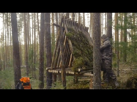 Build a Small House on a Tree Trunk to Avoid All Dangers in the Forest - My Bushcraft Life