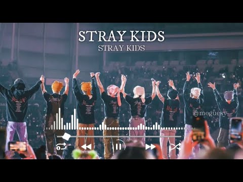 STRAY KIDS PLAYLIST FOR STUDYING OR SLEEP TO COMFORT YOURSELF