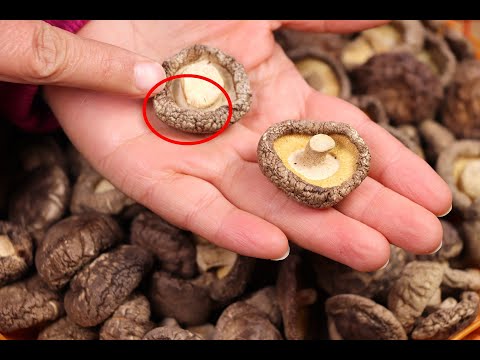 买干香菇时，聪明人看这4个地方，干货店老板：太精明，不敢欺骗