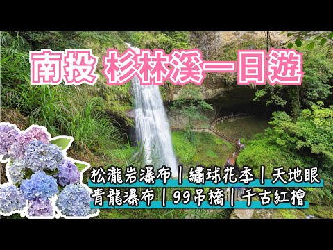 南投杉林溪一日遊|3條重點步道!中部最美瀑布!看松瀧岩瀑布+千年紅檜+天地眼+99吊橋+青龍瀑布,巧遇繡球花季|菇神鹿谷店吃菇料理火鍋,米其林必比登推薦|夏日避暑親子景點