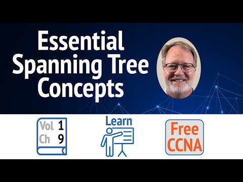 How STP Works: The Essential Guide to Preventing Loops in Any Network