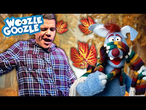 Alles über den Herbst 🍁🍂 l WOOZLE GOOZLE