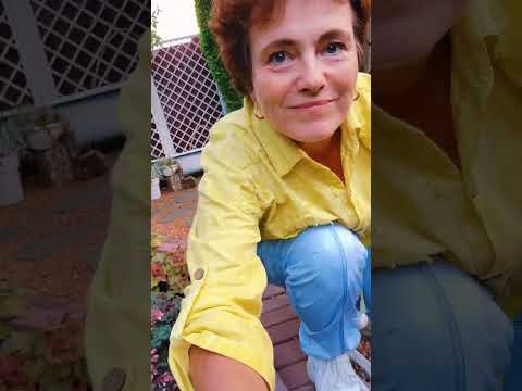 ЛЕТО, 🌞🌴🏄 я по тебе буду скучать....