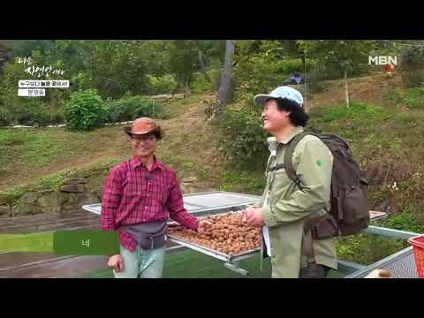 나는 자연인이다 629회 I   “누구보다 높은 곳에서! 자연인 함을영” I 2024-10-30 방영