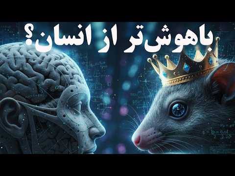 آیا انسان واقعاً باهوشترین موجود زمینه؟ دروغ بزرگ مغز