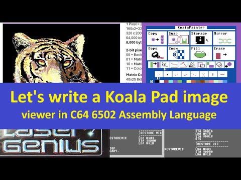 Let's write a program to load and view KOALA Pad picture files on your C64 using Assembly Language.