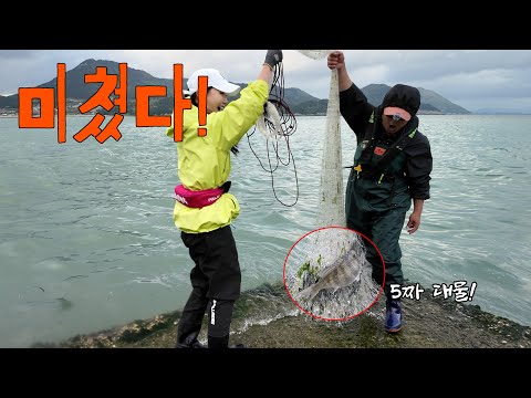 던지면 5짜 최고급 횟감이 나온다! 신비의 섬 신지도 투망 대박입니다!