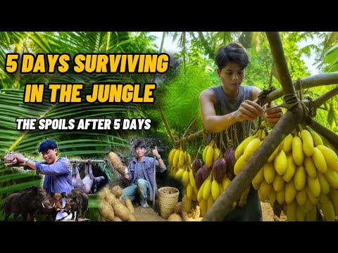5 Days Surviving in the Jungle. Trapping Wild Boars, Catching Fish, and the Spoils That Amazed Me